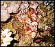 foto19.jpg