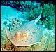 foto20.jpg