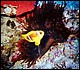 foto23.jpg