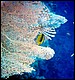 foto36.jpg