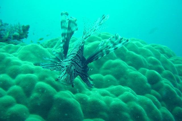 dsc01114.jpg