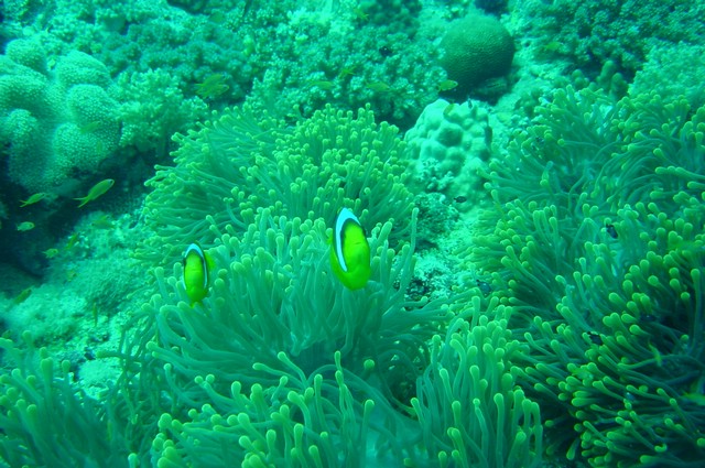 dsc01127.jpg