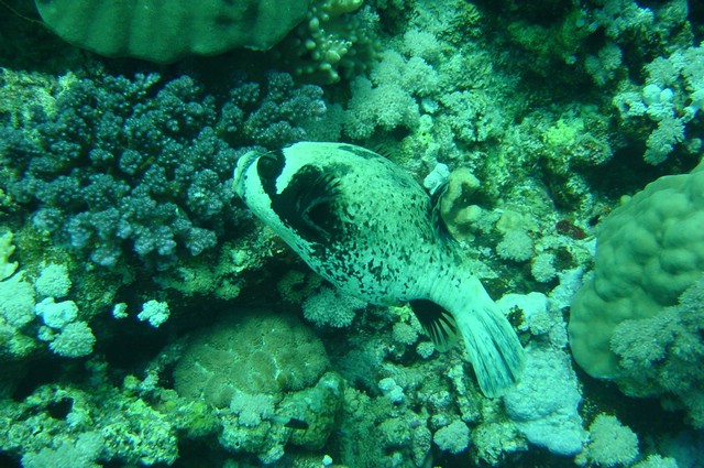dsc01140.jpg