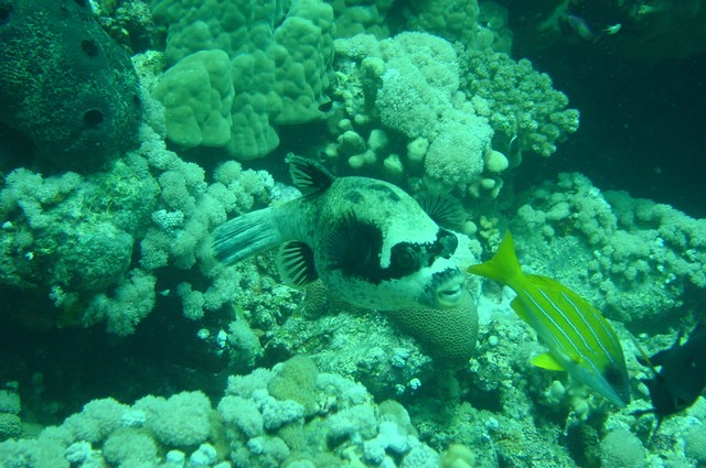dsc01142.jpg