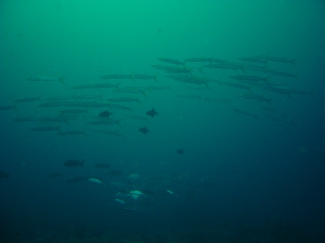 dsc01189.jpg