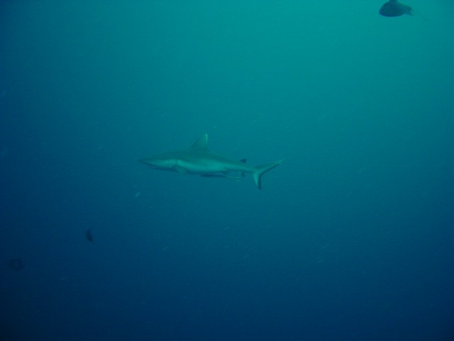 dsc01196.jpg