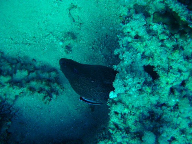 dsc01201.jpg