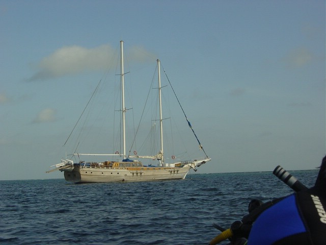 dsc01212.jpg