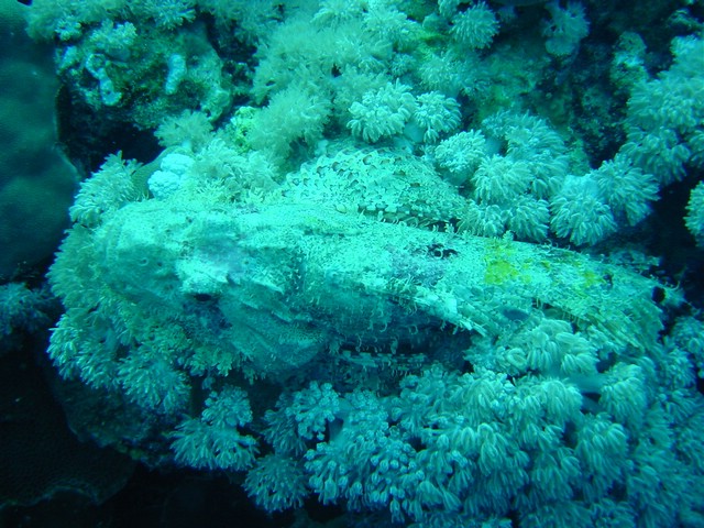 dsc01302.jpg