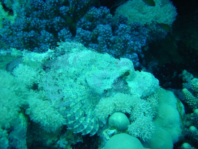 dsc01304.jpg