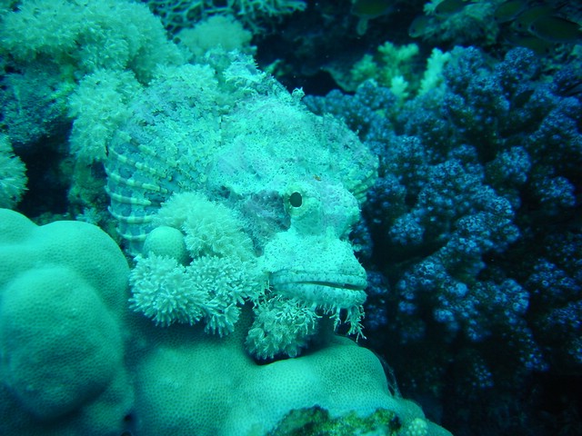 dsc01305.jpg