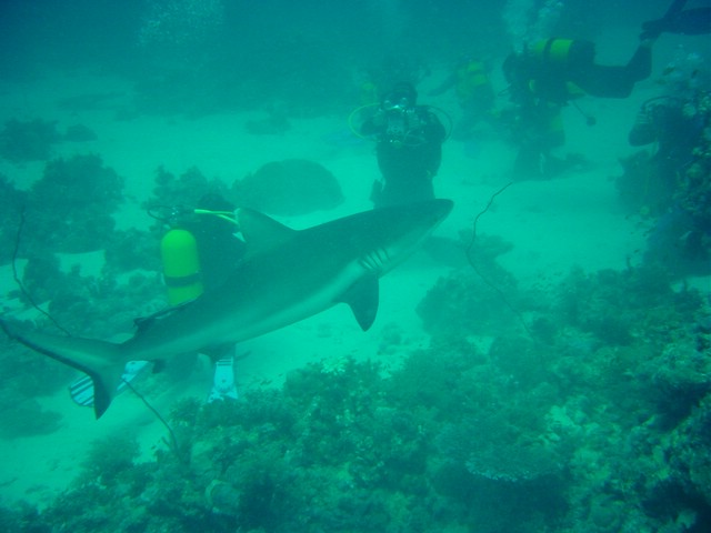dsc01308.jpg