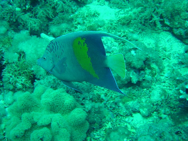 dsc01316.jpg