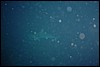 dsc01081.jpg