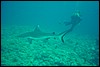 dsc01105.jpg