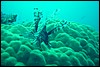dsc01114.jpg