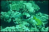 dsc01142.jpg