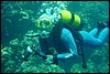 dsc01146.jpg