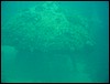 dsc01151.jpg