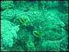 dsc01166.jpg