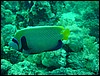 dsc01174.jpg