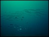 dsc01189.jpg