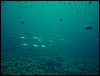 dsc01190.jpg