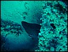 dsc01201.jpg