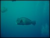 dsc01206.jpg