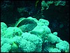 dsc01229.jpg