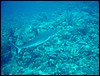 dsc01277.jpg