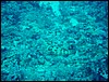 dsc01279.jpg