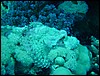 dsc01304.jpg