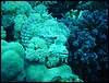 dsc01305.jpg