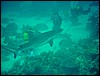 dsc01308.jpg