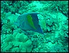 dsc01316.jpg