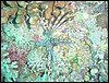 dsc01321.jpg