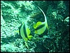 dsc01330.jpg