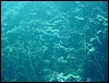 dsc01350.jpg