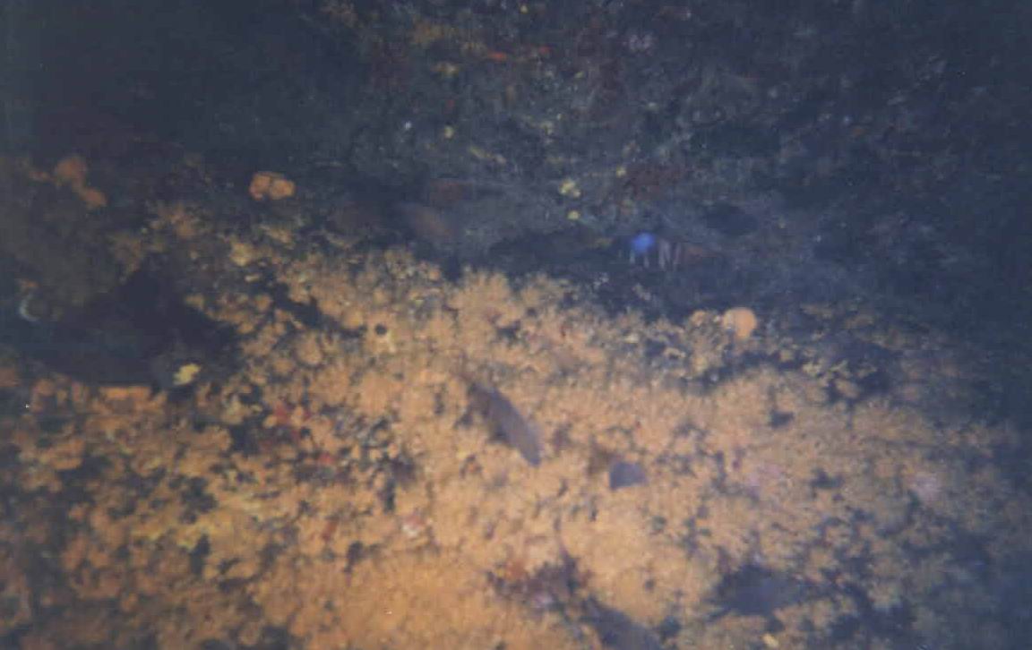 vista02.jpg