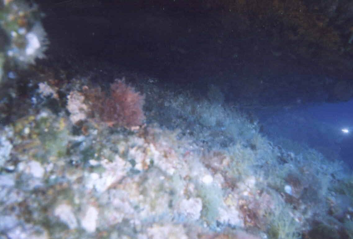 vista03.jpg