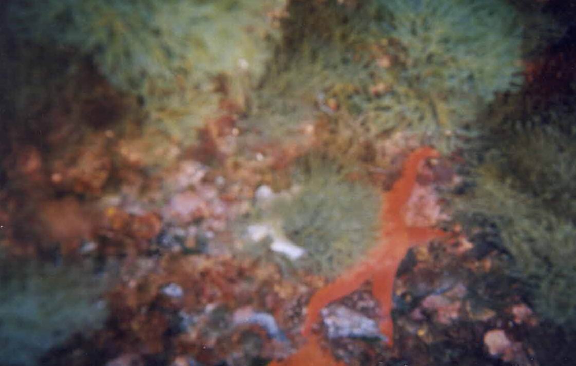 vista05.jpg