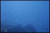 vista01.jpg