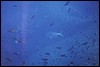 vista07.jpg
