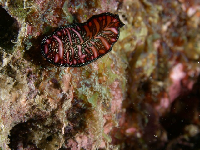 dscn6064.jpg
