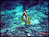 dsc00160a.jpg