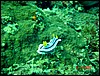 dsc00426a.jpg