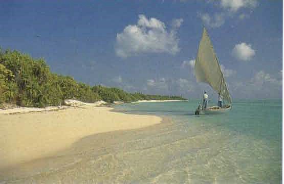 amaldive13.jpg