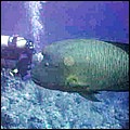 foto10.jpg