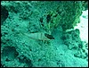 dsc00656.jpg